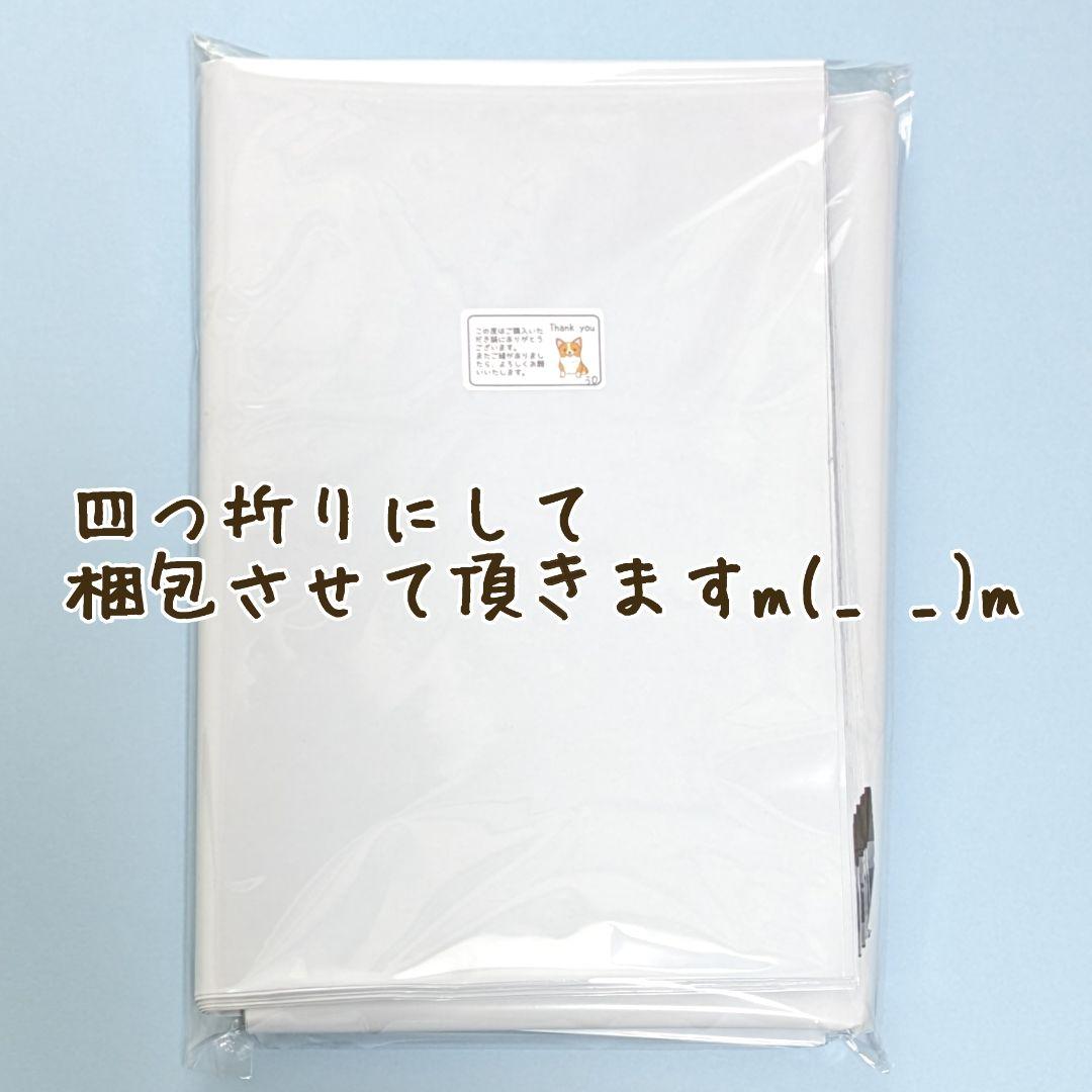 a2 特大 宅配ビニール袋 30枚 500×600 発送用ビニール袋 高品質