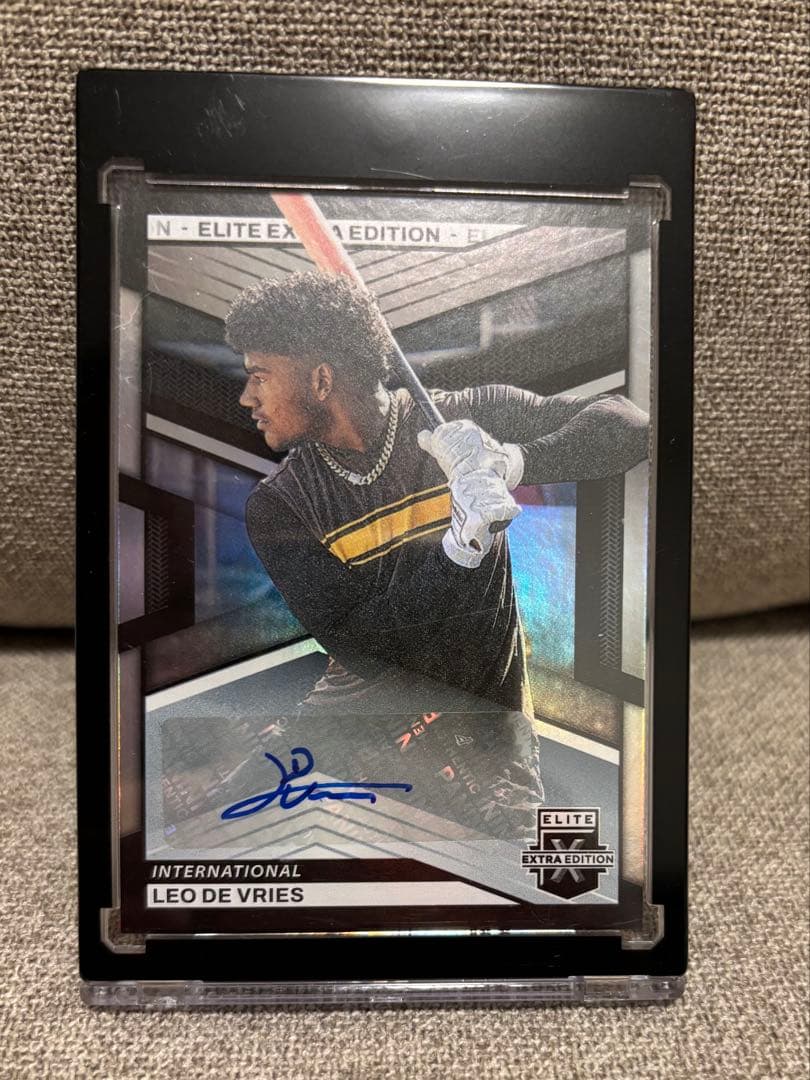 leo de vries auto