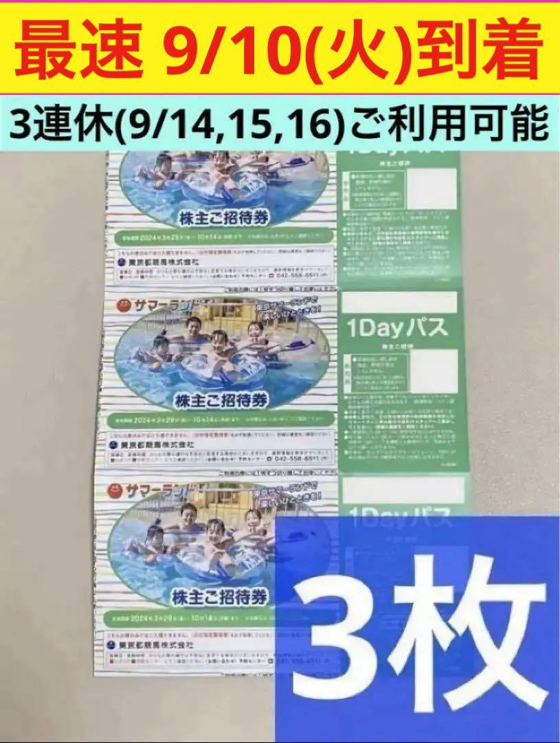 【サマーランド】 1Dayパス 3枚(3名分) 　株主ご招待券　フリーパス　匿名