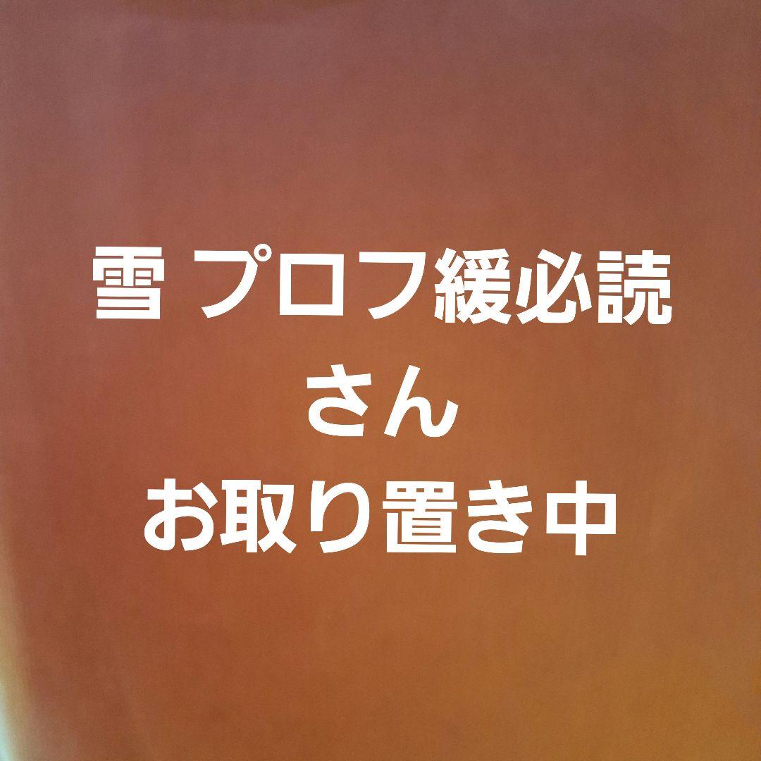 雪 プロフ緩必読さんお取り置き