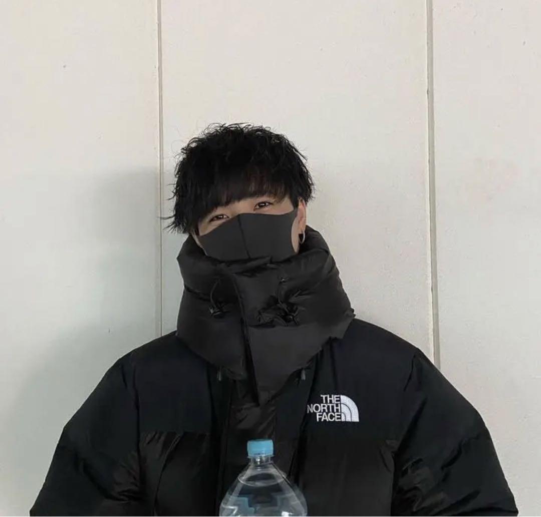 THE NORTH FACE ノースフェイス ヒムダウンパーカー L メンズ