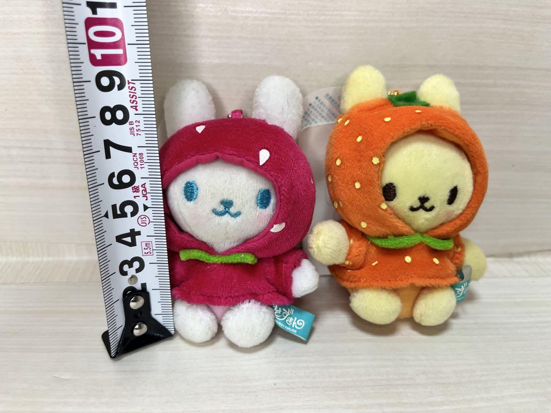 うさずきん マスコット キーホルダー ミックス フルーツ うさずきん