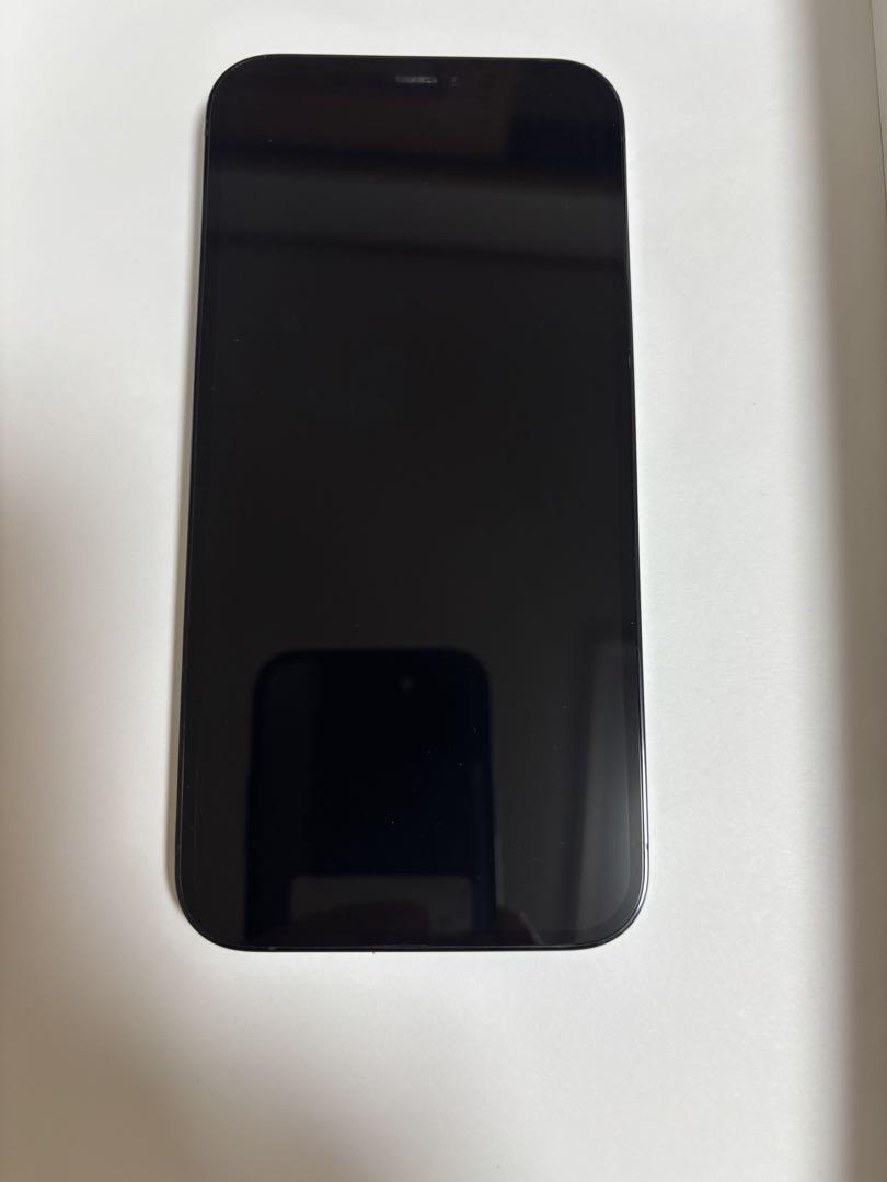 Apple iPhone 12 promax パシフィックブルー