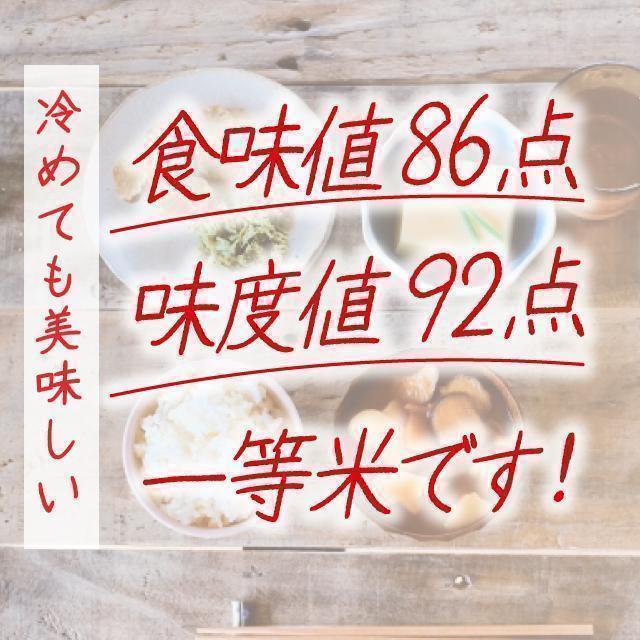 新作入荷 棚田米認定 はちたか米✨ 20kg ihd0s-m96804004529 美味しさ抜群✨ 希少コシヒカリ NEW得価