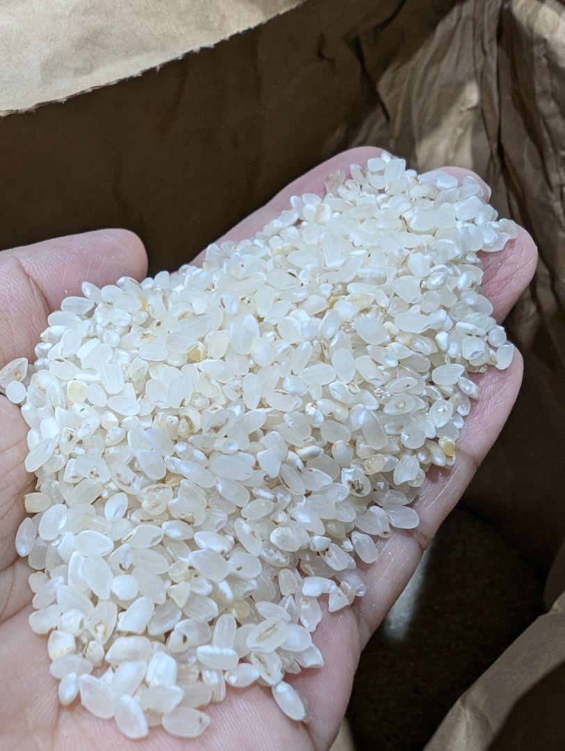 コシヒカリ 玄米 30kg こしひかり 送料無料 米 お米 新米 令和6