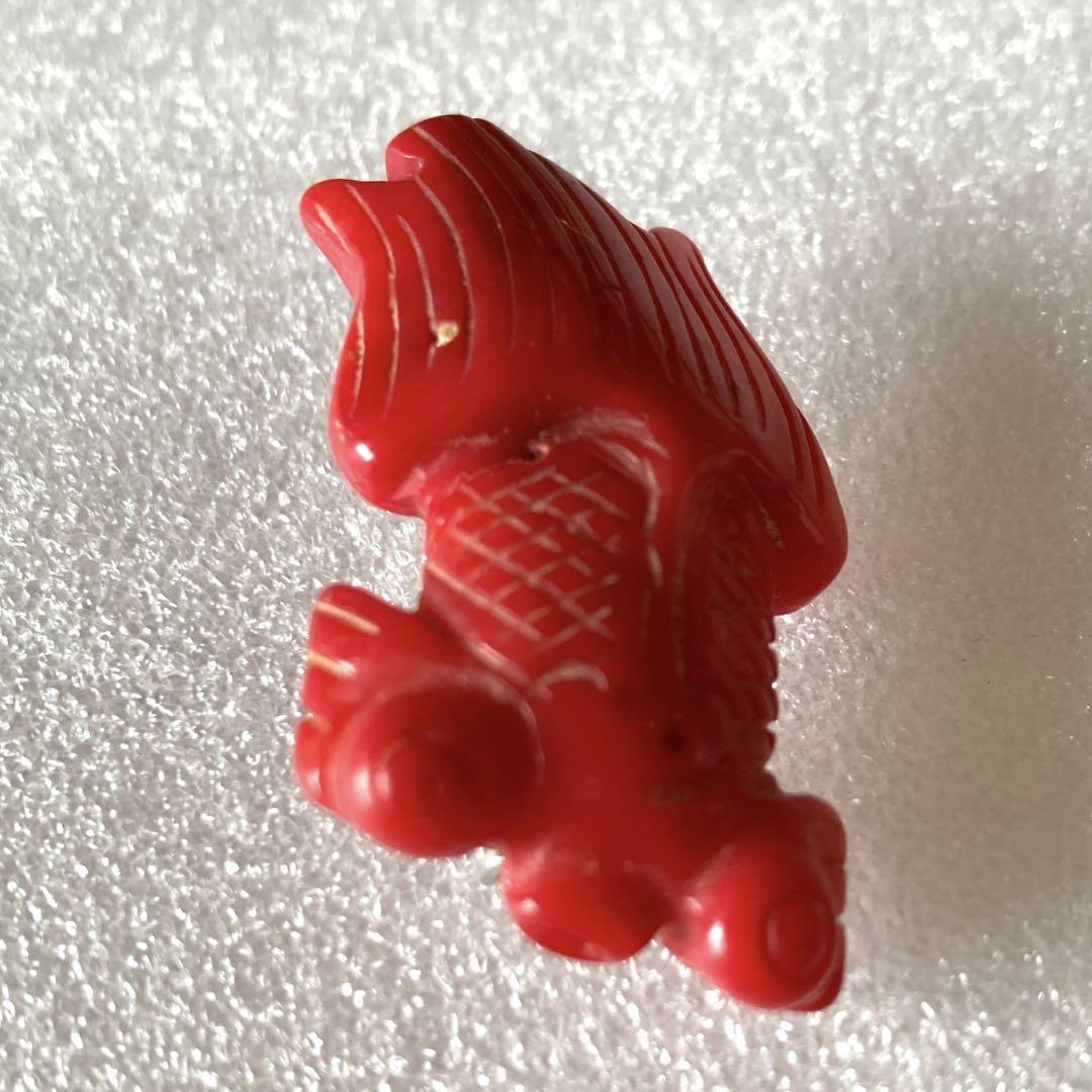 ● 化石珊瑚