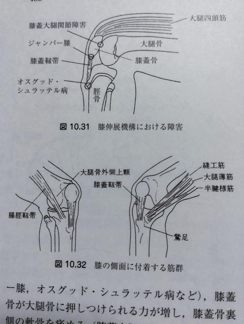 筋の科学事典: 構造・機能・運動 大型本