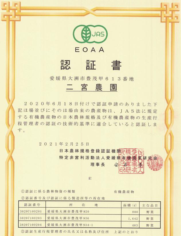 沖縄用　mkさん専用　有機野菜セット８品＋玄米５Kg +おまけ