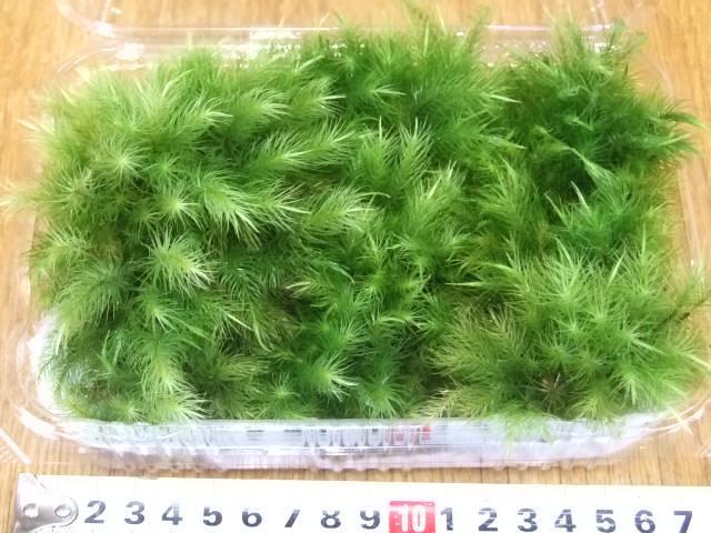 Sakura様 リクエスト 4点 まとめ商品 - メルカリ