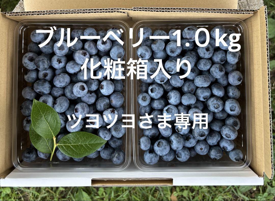 ブルーベリー1.0kg 2箱クール便　化粧箱入り