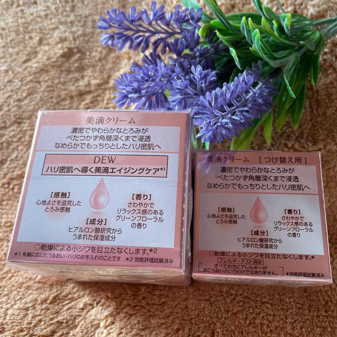 2022人気セール DEW 30g & つけ替え VkJGU-m96873956496 クリーム 本体 在庫あ通販