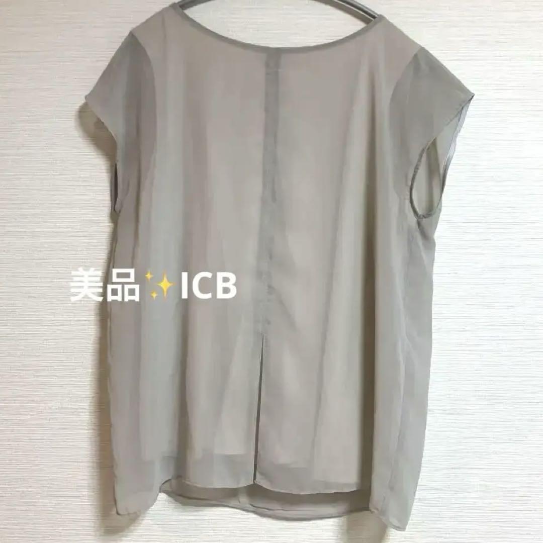 美品✨ アイシービー ICB シアー フレンチスリーブ ブラウス グレートップス