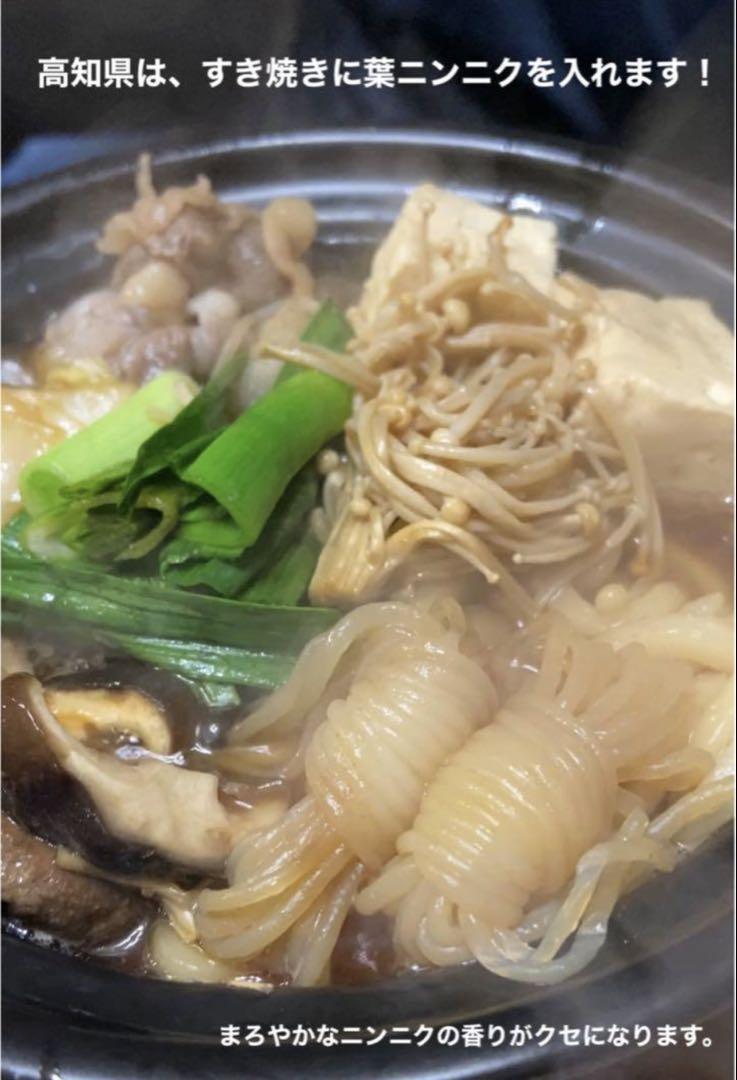 高知県産葉にんにく　葉ニンニク　野菜　産地直送5kg dwu