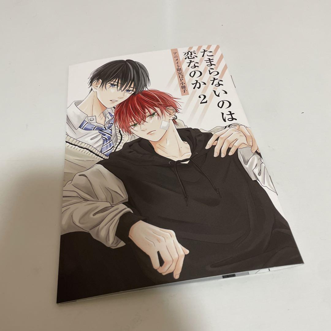 たまらないのは恋なのか ①②③④ アニメイト 小冊子付