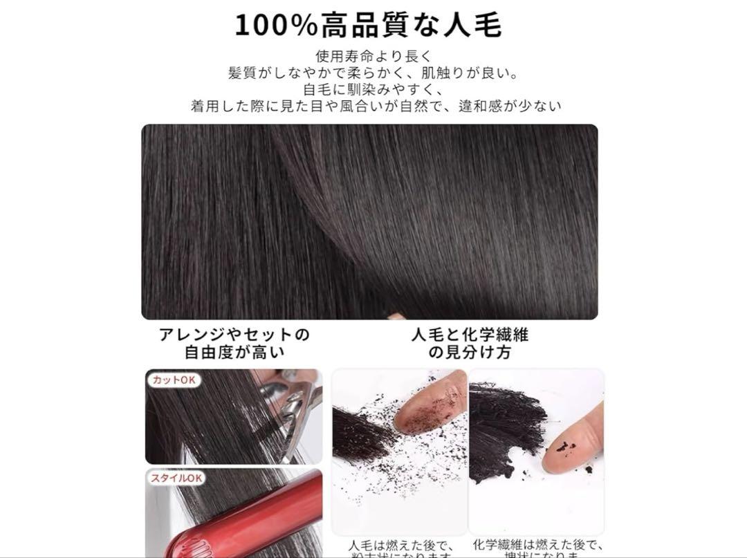 塩様取り置き品 パニエandウィッグ