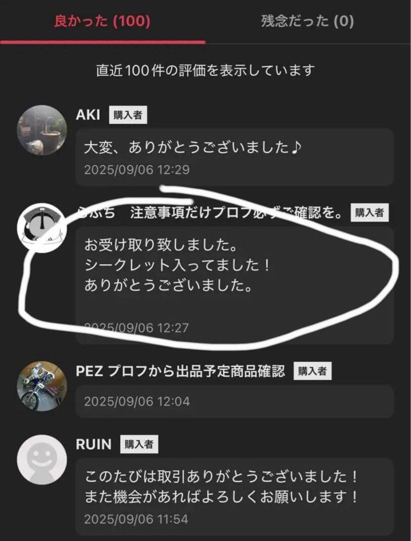 【正規品・未開封】Labubu Big into Energy 2箱