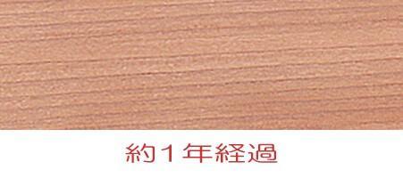 最安値格安 新品未使用 7段 1bnvi-m96945786633 柿渋染め総桐チェスト 人気豊富な