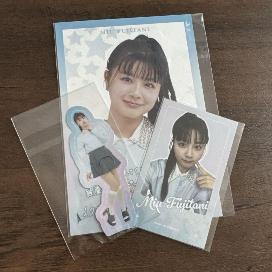 【超お買い得！】 藤谷美海 いぎなり東北産 ラッフルくじ メルカリ - アイドル