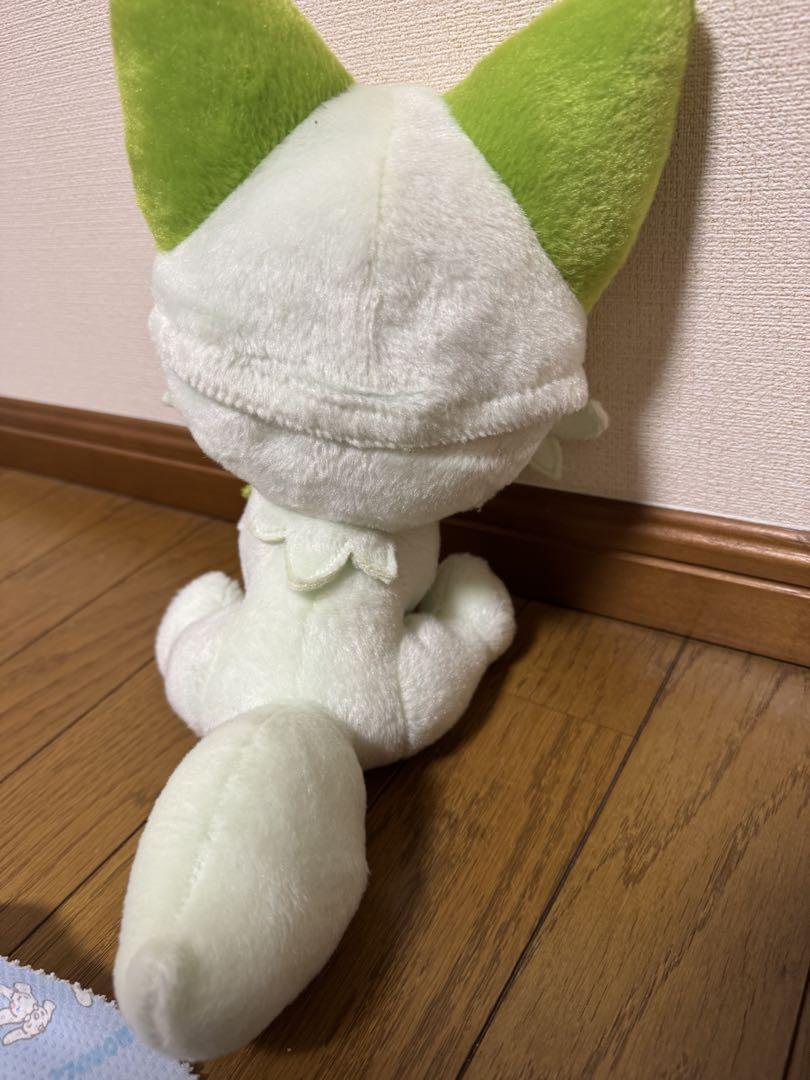 ポケットモンスター なでてみつめてぱちくりニャオハ