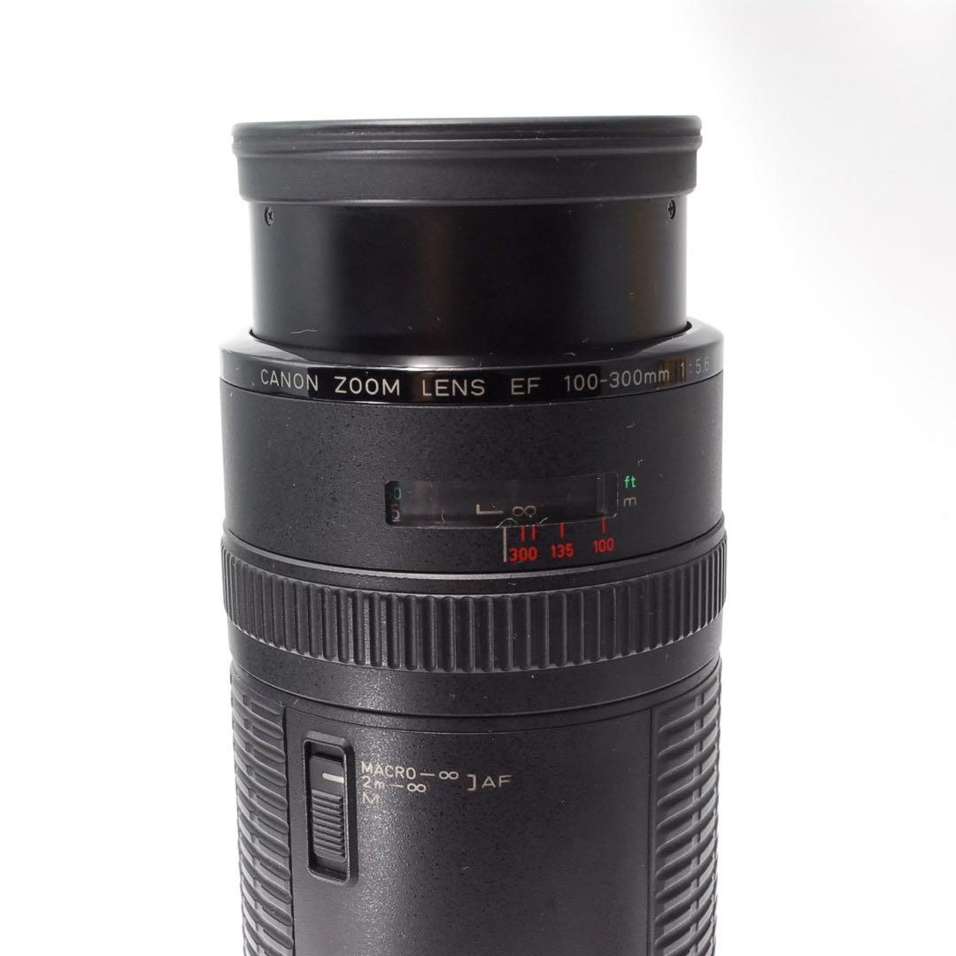 ✨超絶美品✨F値固定✨✨Canon EF 100-300 F5.6✨超望遠レンズ