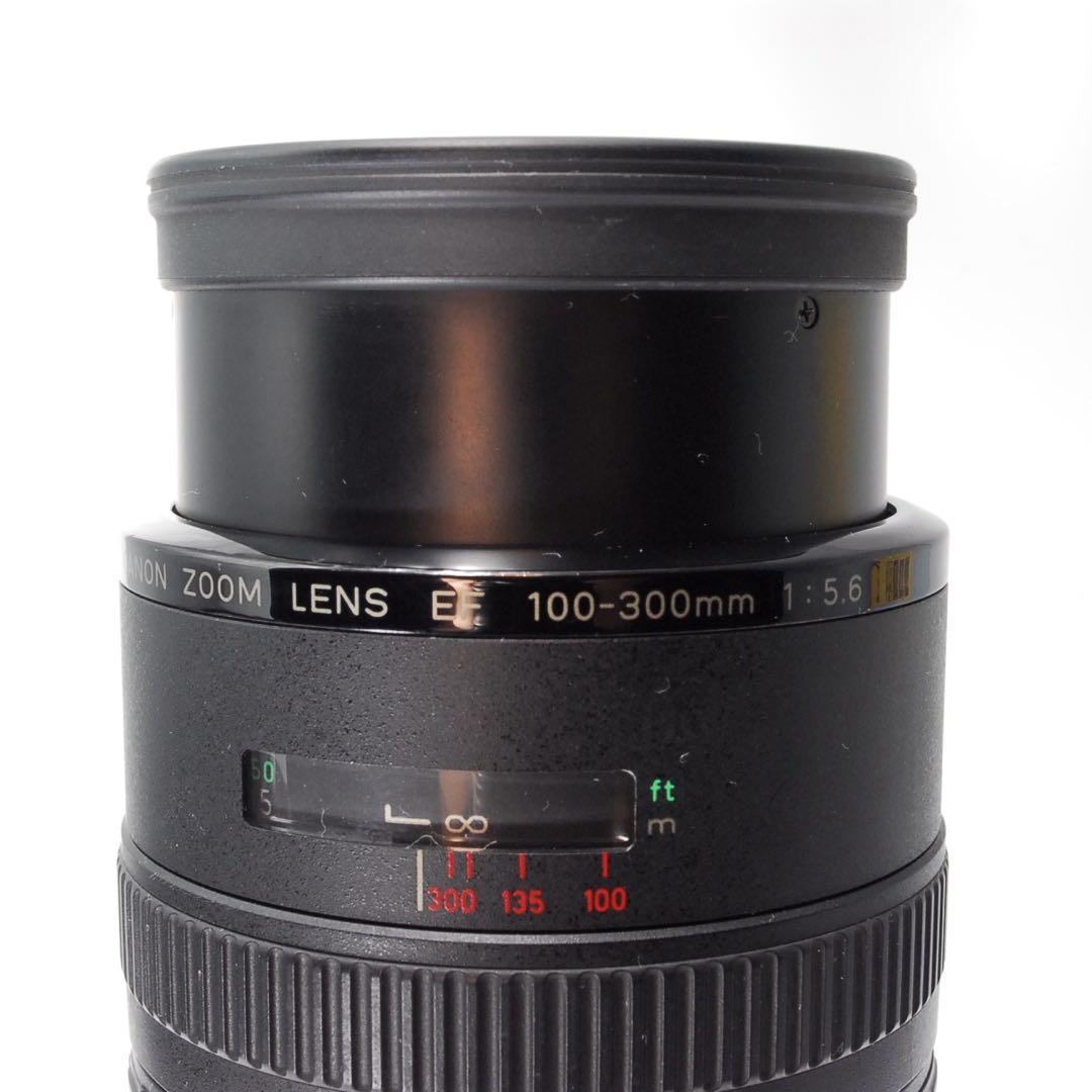 ✨超絶美品✨F値固定✨✨Canon EF 100-300 F5.6✨超望遠レンズ