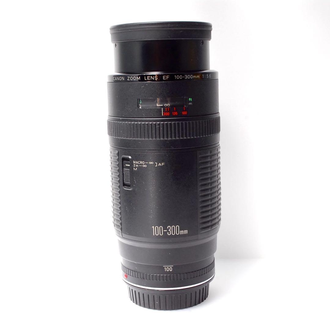 ✨超絶美品✨F値固定✨✨Canon EF 100-300 F5.6✨超望遠レンズ