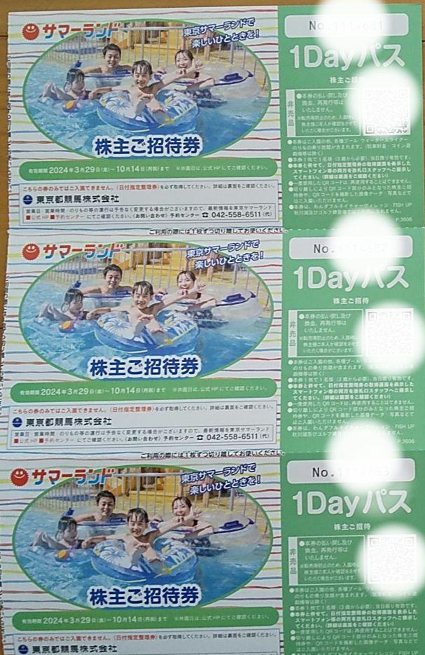 急ぎます！3枚 翌日着≪東京サマーランド1dayパス≫