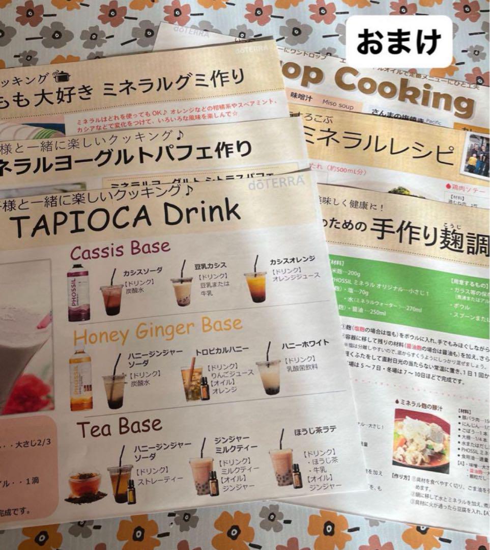 【バラ売り不可】ミネラル6本セット  ハンドブック付き