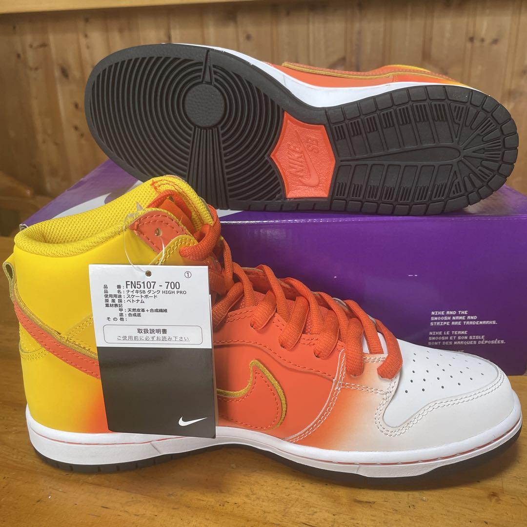 Nike SB Dunk High Pro 