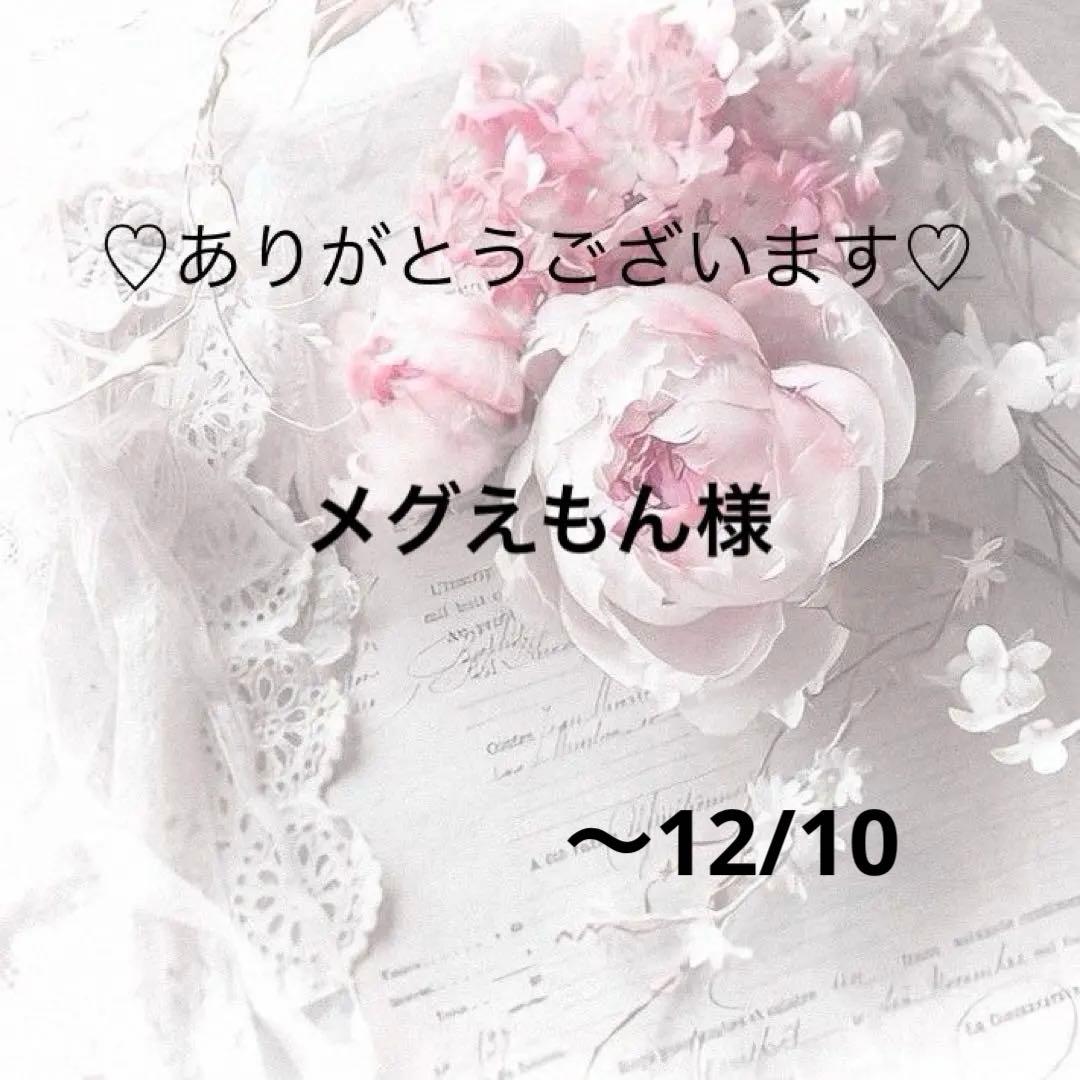 メグえもん様　レジンヘアゴム　ポニーフック　ドライフラワー