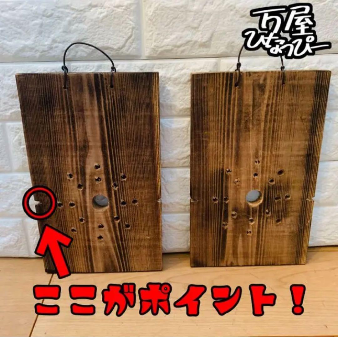 ビカクシダ　着生板　焼杉　ネット有り　20枚 santaruth_ita-01l