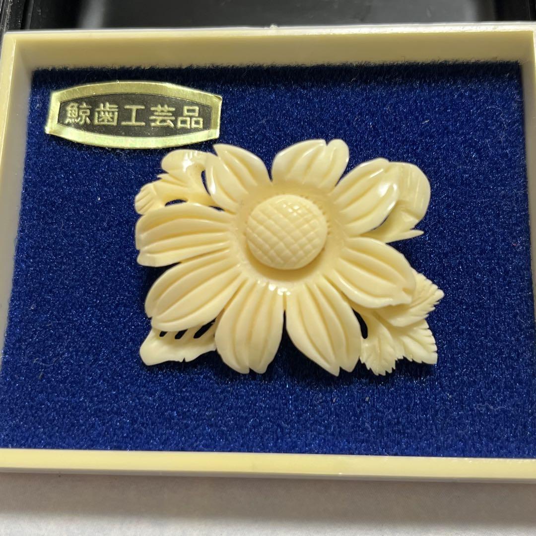 未使用】希少 鯨の歯の彫刻 ブローチ 鯨歯工芸 コスモス 紀州