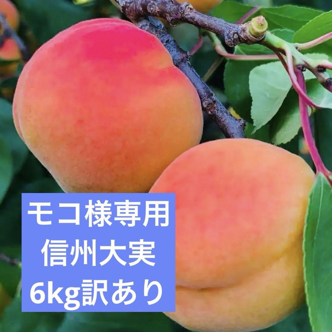 ★ モコ　信州大実　6kg 信州産 あんず　杏　生あんず