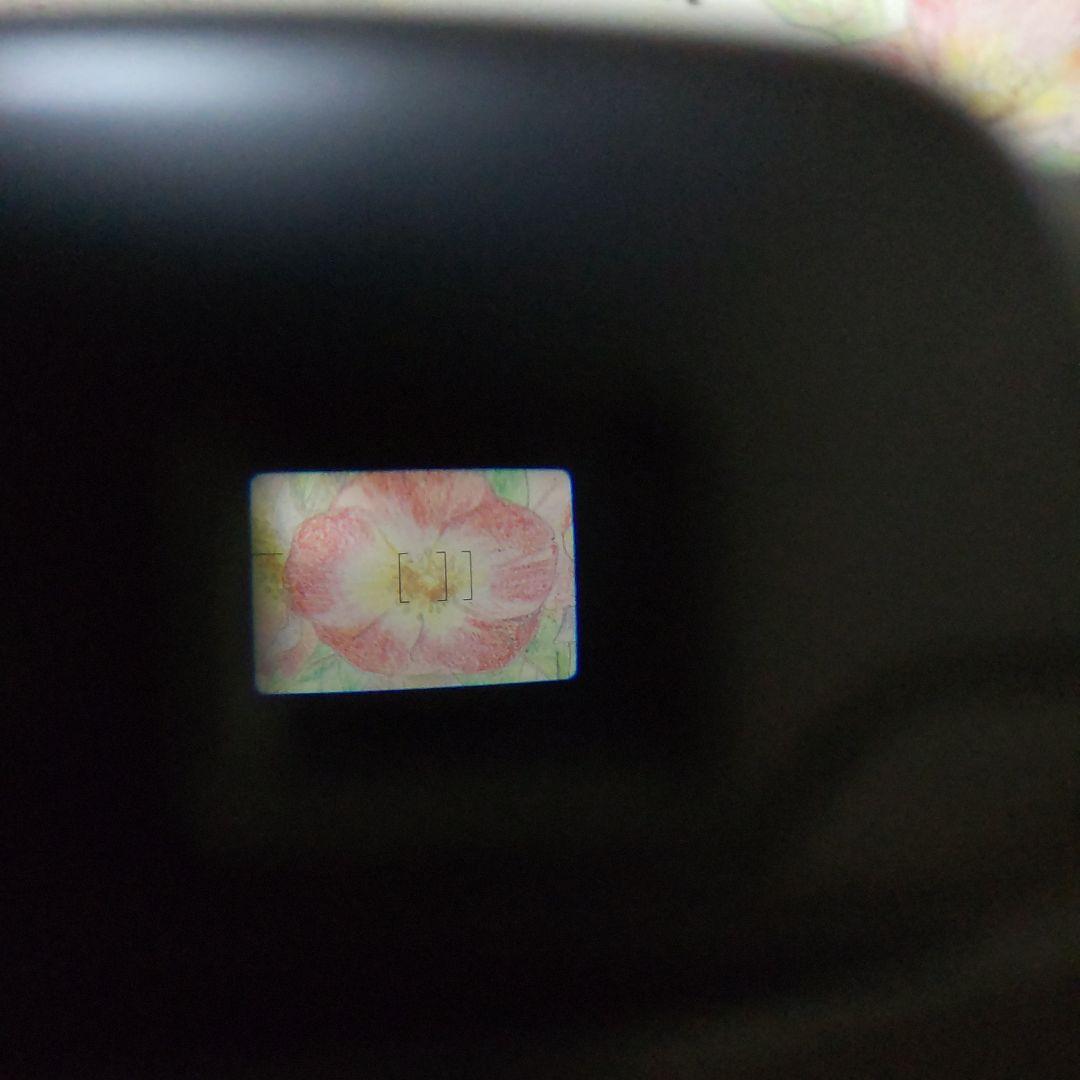 ☆☆極上美品❕完動品☆☆ Canon Autoboy S Panorama