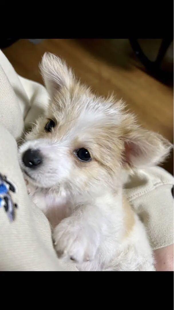 ぽっち様オーダー見本♡