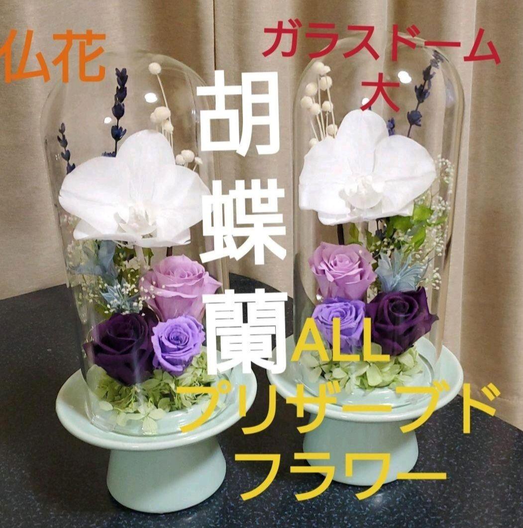 人気の お仏壇用の仏花 大 一対 胡蝶蘭 プリザーブドフラワー 花瓶ドーム付き ついに再入荷 人気の お仏壇用の仏花 大 一対 胡蝶蘭 プリザーブドフラワー 花瓶ドーム付き ついに再入荷