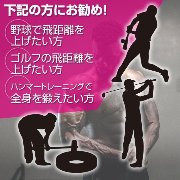 楽天市場】ジムハンマー 8kg トレーニングハンマー ハンマー