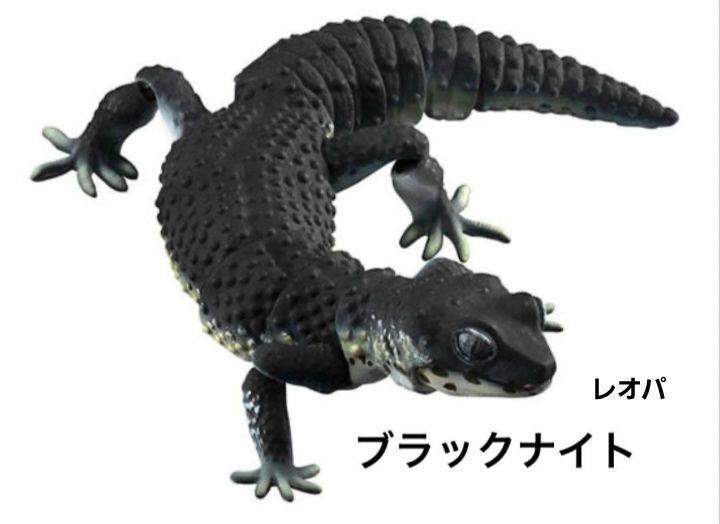 爬虫類 フィギュア レオパ ブラックナイト - メルカリ