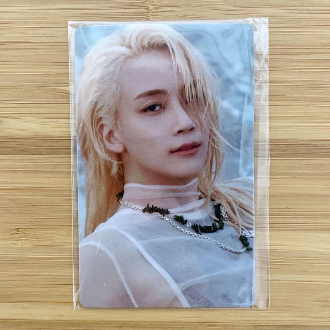 数量限定アウトレット最安価格 SEVENTEEN ディノ attacca weverse tdh