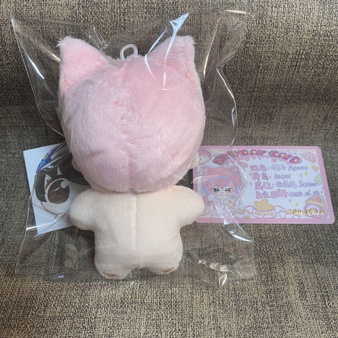 enhpyen ソヌ　ぬいぐるみ　10cm 新品　マスター