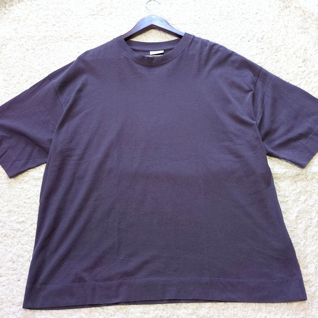 DRIES VAN NOTEN - ドリスヴァンノッテン 22SS グラフィック