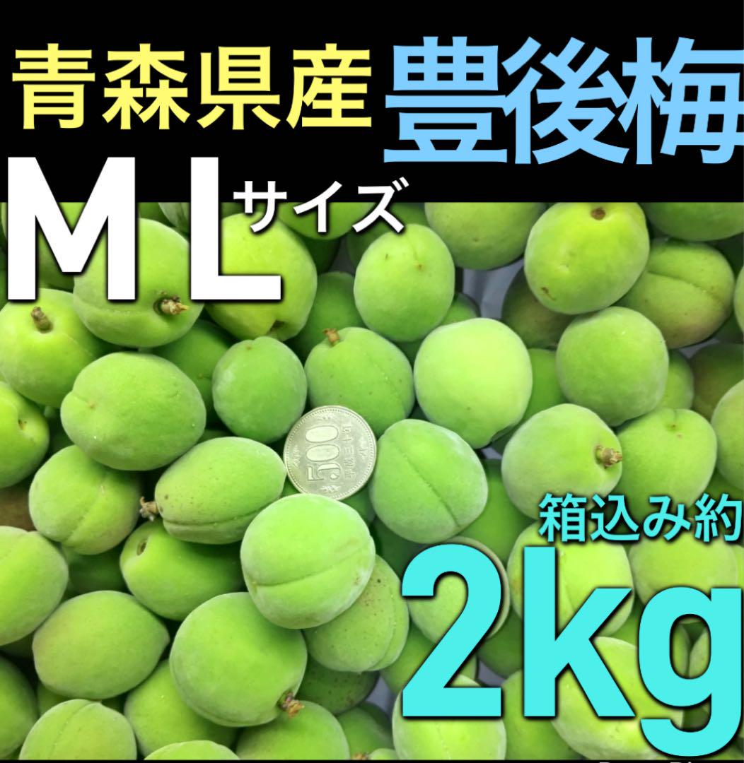 100.青森県産 豊後梅 青梅 MLサイズ混ざり 箱込み約2kg - メルカリ