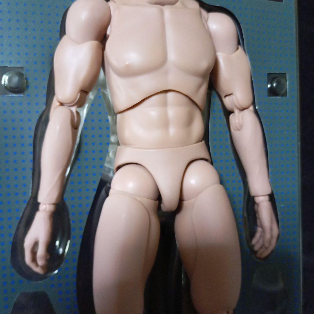 ホットトイズ トゥルータイプ38 TRUE TYPE TTM16 1/6男性素体 ホットトイズ トゥルータイプ38 TRUE TYPE TTM16 1/6男性素体
