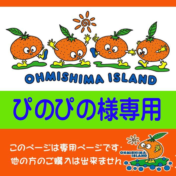 【ぴのぴの様専用】L～LLせとか6Kg・レモン各4Kｇ・1000ｍｌジュース６本
