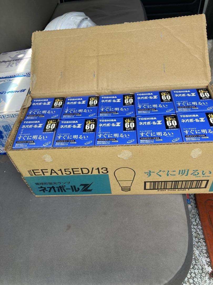 TOSHIBA ネオボールZ EFA15ED/13 10個入り