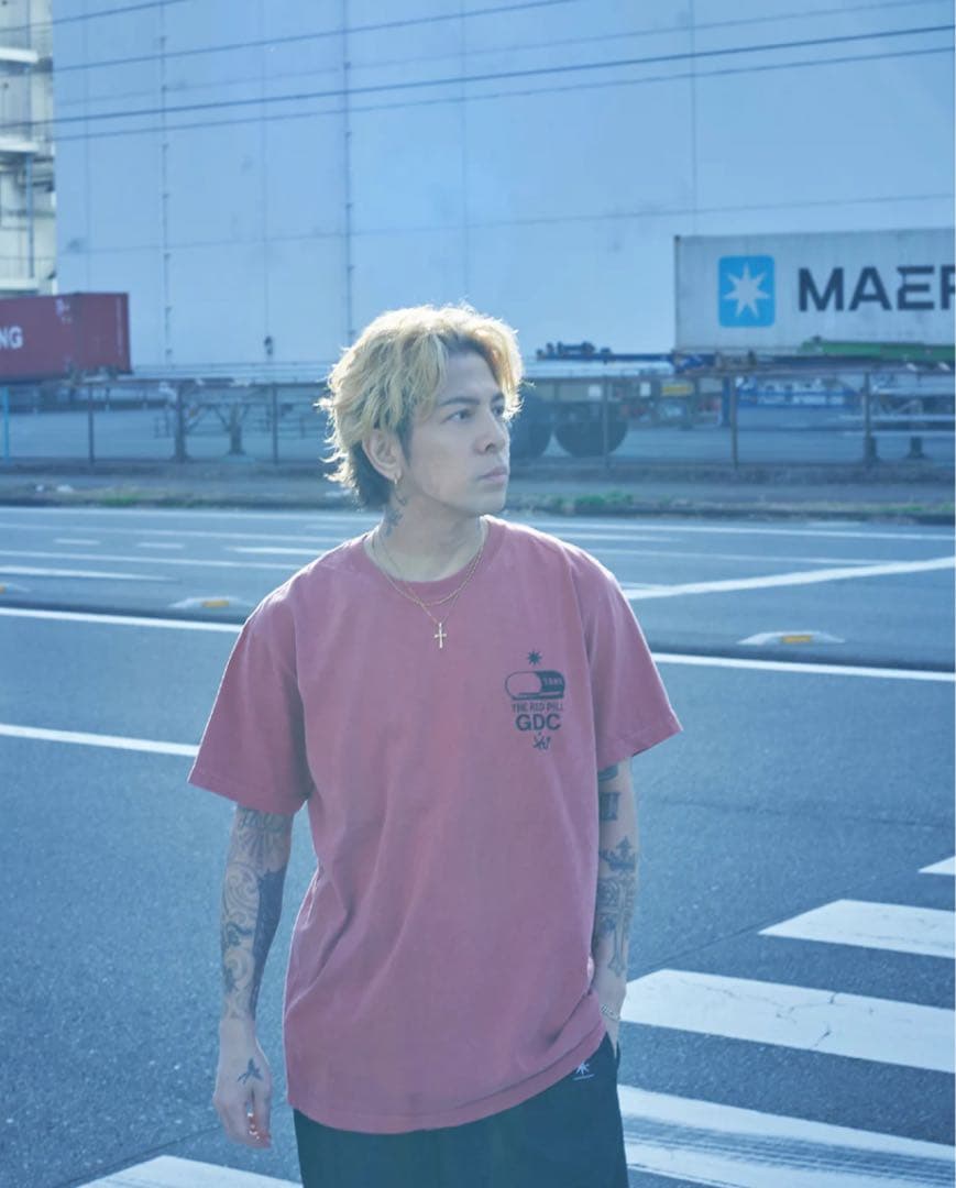 Tシャツ