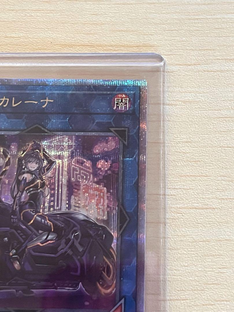 IPマスカレーナ 絵違い クオシク 25th