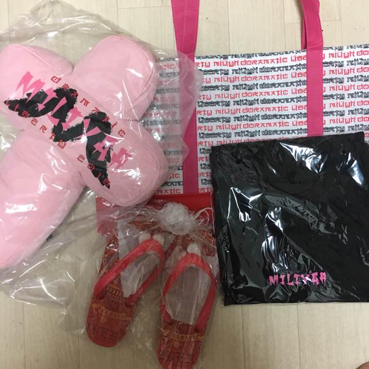 森山直太朗 ツアーグッズ 素晴らしいミニギターケース タレント