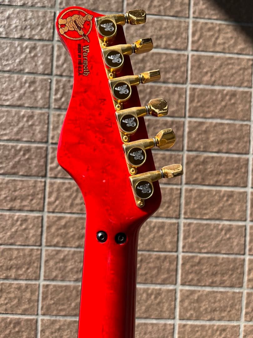 超人気の Valleyarts CUSTOM PRO エレキギター - boothype.com