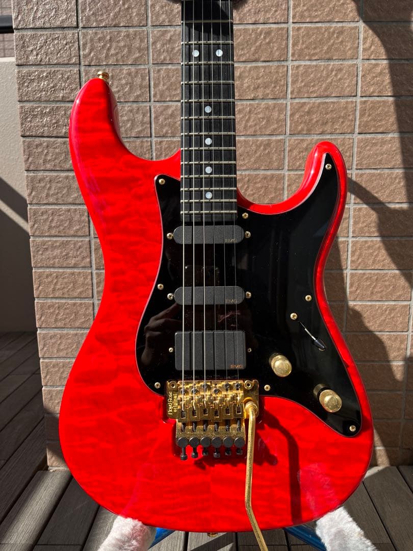 超人気の Valleyarts CUSTOM PRO エレキギター - boothype.com